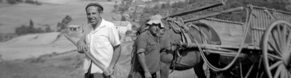 Arxiu Municipal de Calonge de Segarra