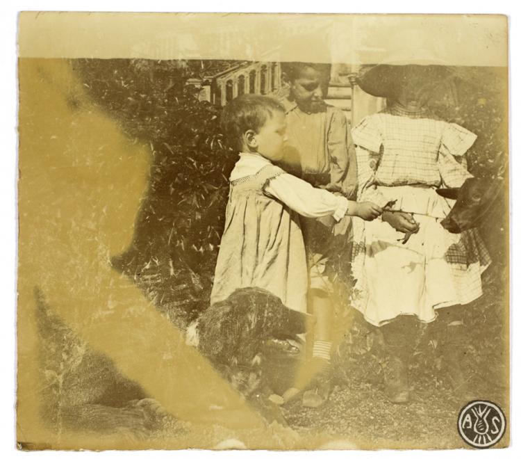 Infants. S.l.