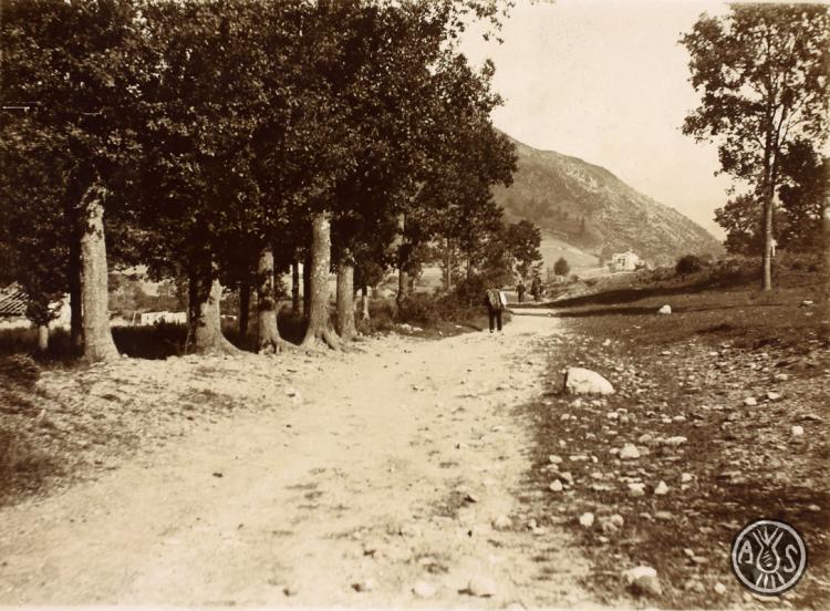 Camí. Paisatge rural. S.l.