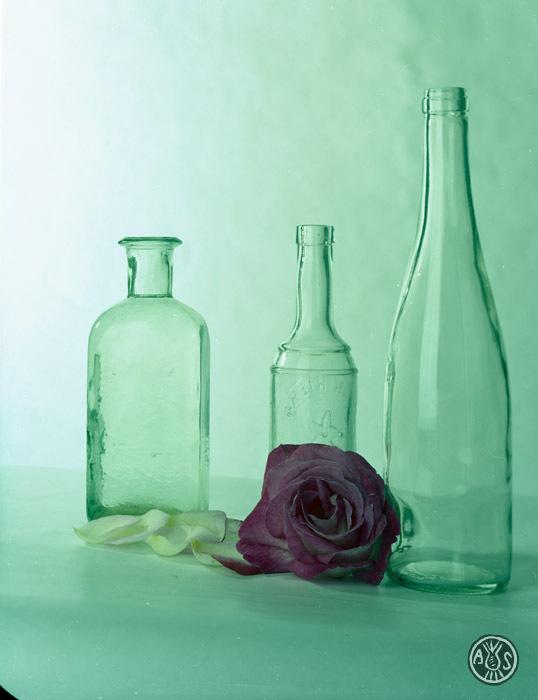 Natura morta amb tres ampolles de vidre i una rosa