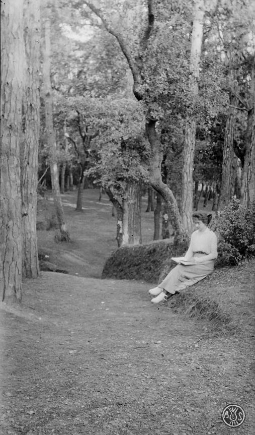 Lectura al bosc de Can Feu
