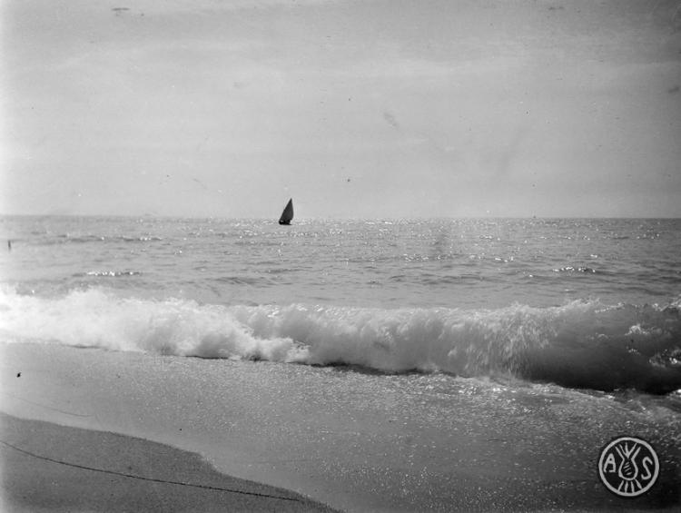 Barca de vela