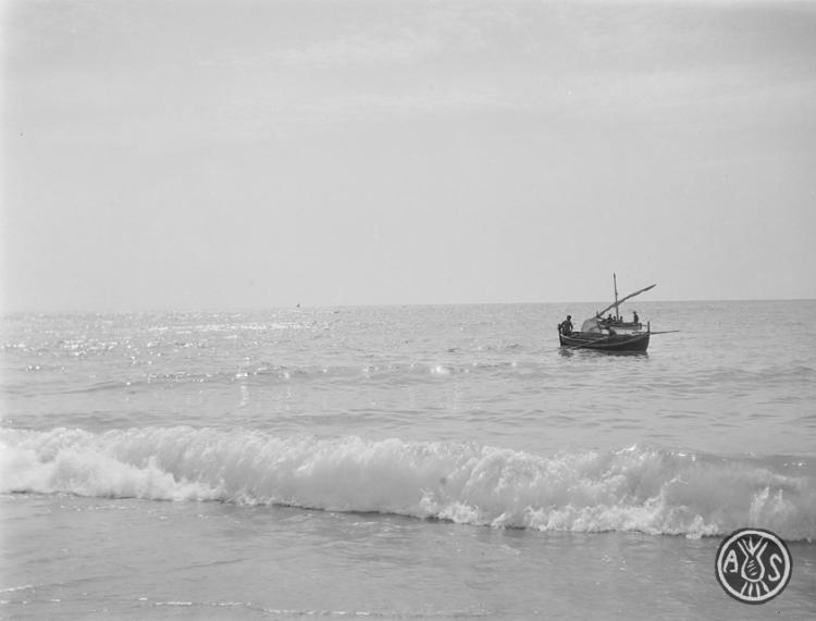 Barques