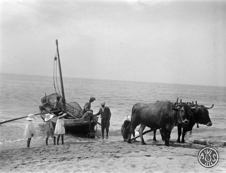 Barca tirada per bous en una platja a Caldes d'Estrac