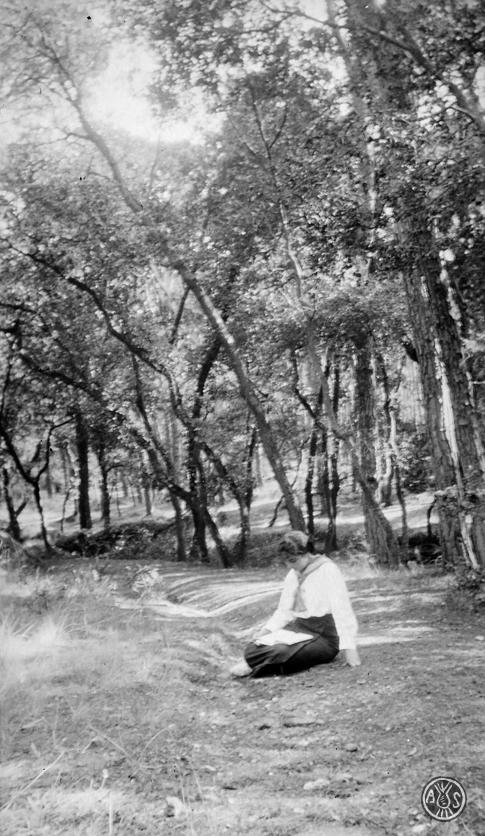 Lectura al bosc de Can Feu