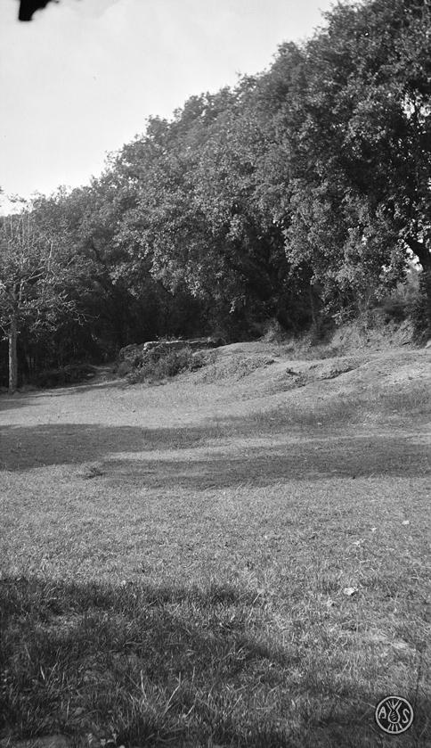 Camp d'herba