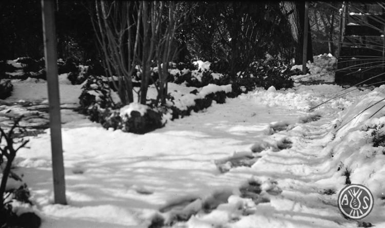 Nevada a Sabadell