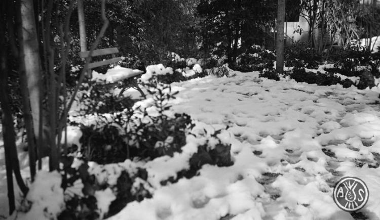 Nevada a Sabadell