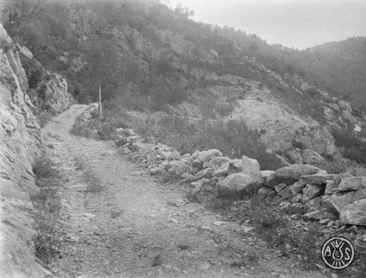 Camí