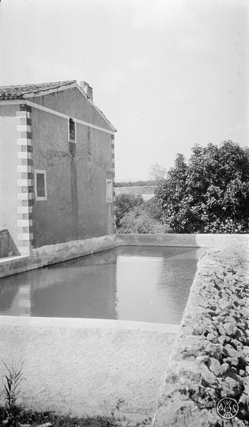 Bassa