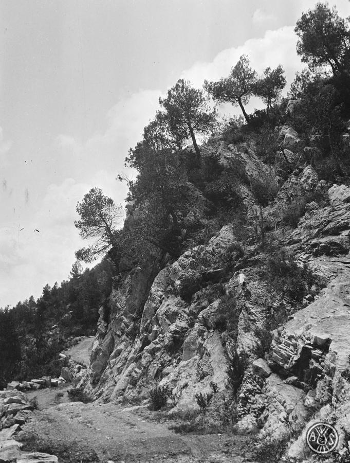 Paisatge de muntanya