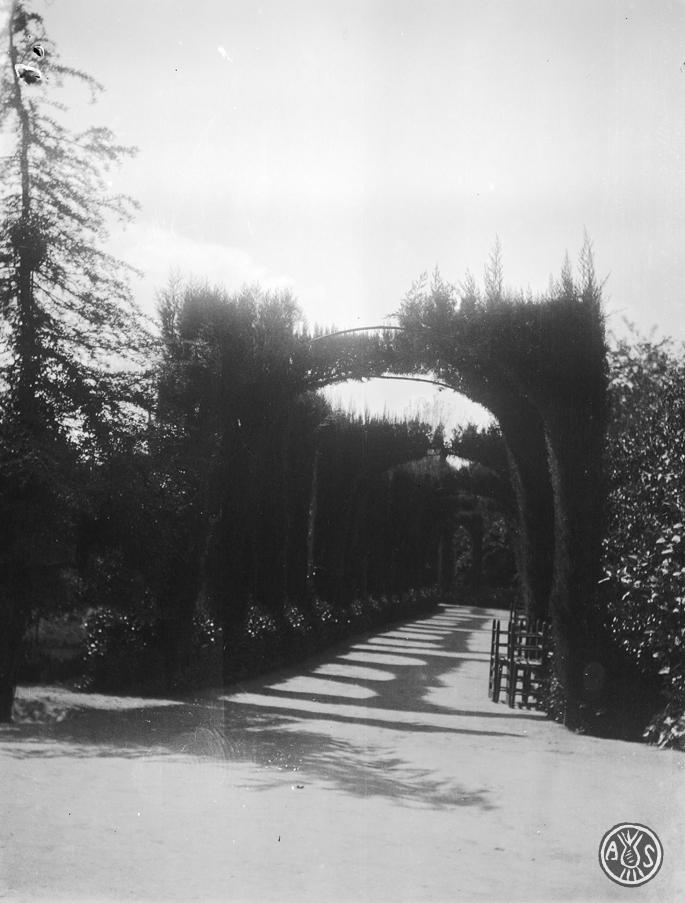 Jardí