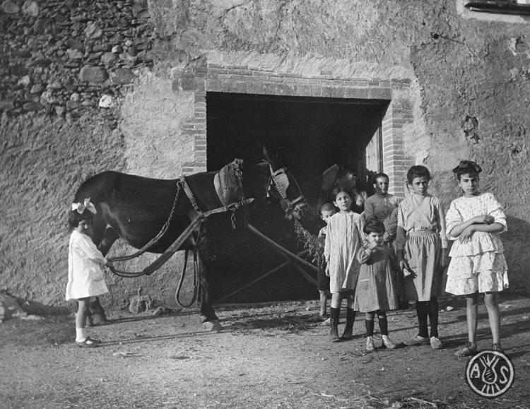 Grup d'infants amb una mula