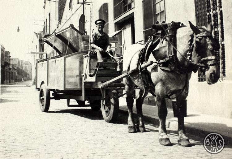 Passada de Sant Antoni. Sabadell