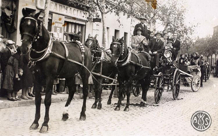 Passada de Sant Antoni Abad. Sabadell