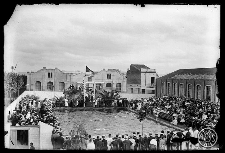 Festival de Natació a les piscines del Club Natació Sabadell al vapor Codina. Sabadell