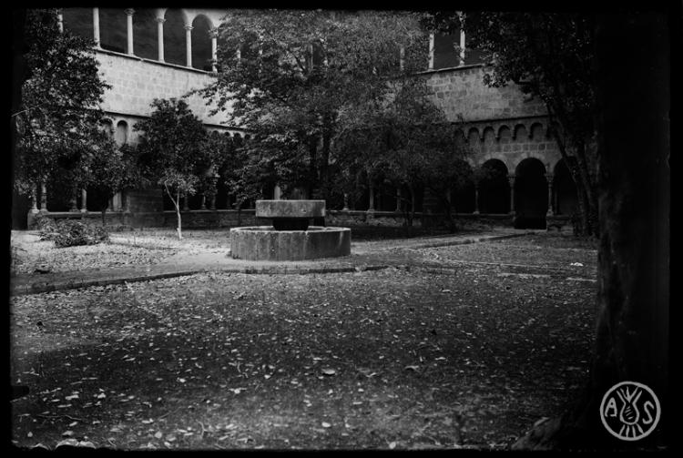 Claustre del Monestir de Sant Cugat del Vallès