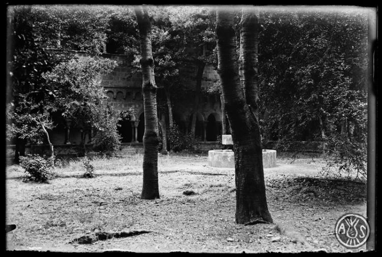 Claustre del Monestir de Sant Cugat del Vallès