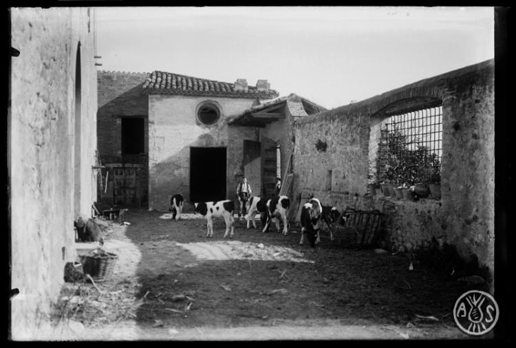 Castell de Barberà. Barberà del Vallès