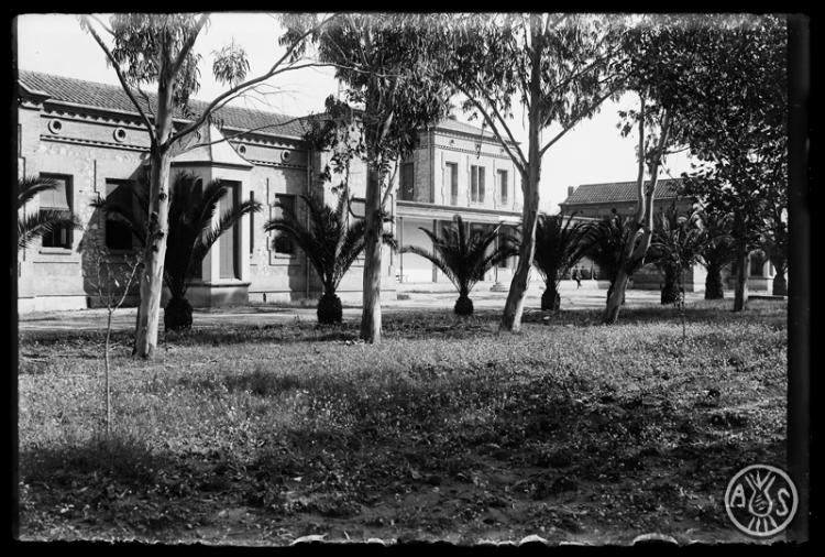 Exteriors de la Clínica de Nostra Senyora de la Salut Eucaliptus. Sabadell