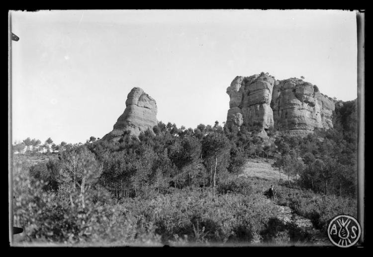 Cavall Bernat i Roca de l'Esquirol. Parc Natural de Sant Llorenç del Munt
