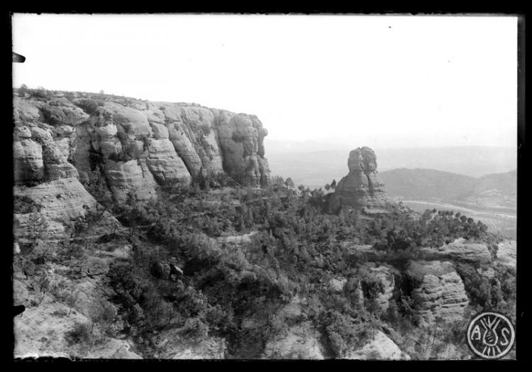 Cavall Bernat. Parc Natural de Sant Llorenç del Munt