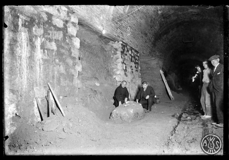 Restes del mastodont (Tetralophodon longirostris ) trobades en les excavacions per a la construcció del túnel dels Ferrocarrils Catalans (FF.CC). Sabadell