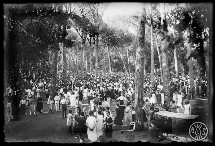 Ballada de sardanes al bosc de Can Feu. Sabadell