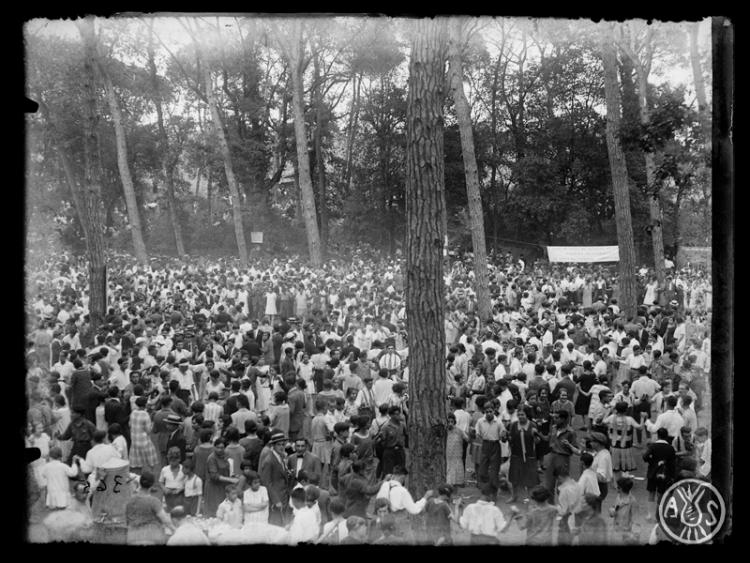 Ballada de sardanes al bosc de Can Feu durant la III Festa de Germanor Sardanista. Sabadell.