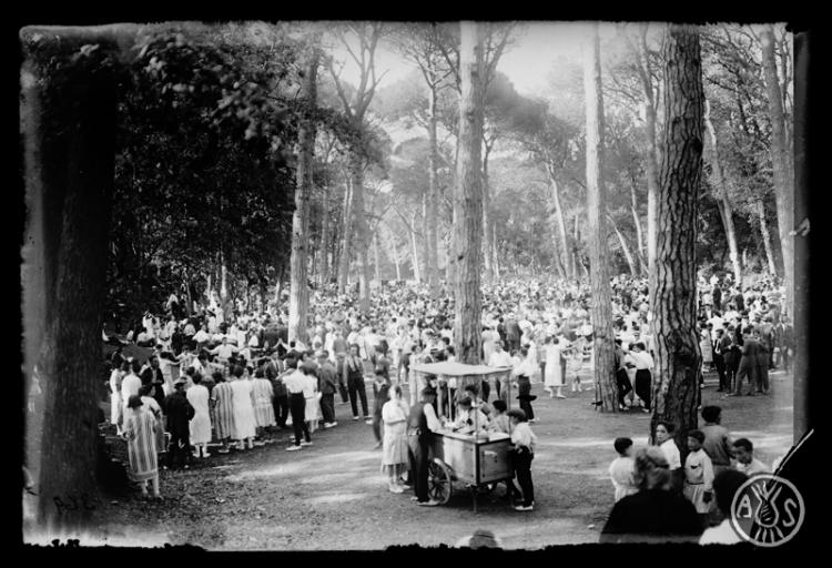 Ball de sardanes al bosc de Can Feu durant l'Aplec de la Sardana. Sabadell