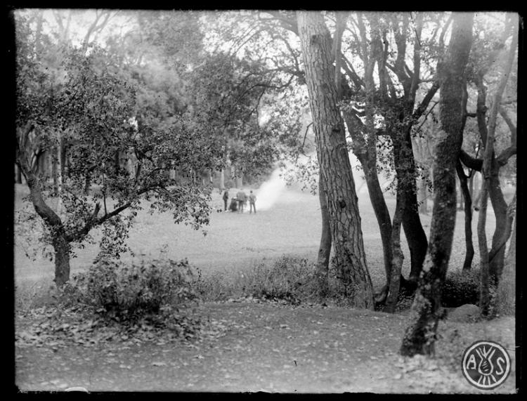 Bosc de Can Feu. Sabadell