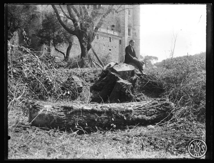 Home assegut sobre un arbre talat del bosc de Can Feu amb la façana posterior del castell al fons. Sabadell