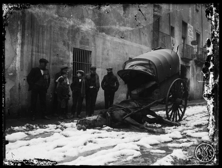 Cavall mort per haver trepìtjat un fil elèctric després d'una nevada. Sabadell