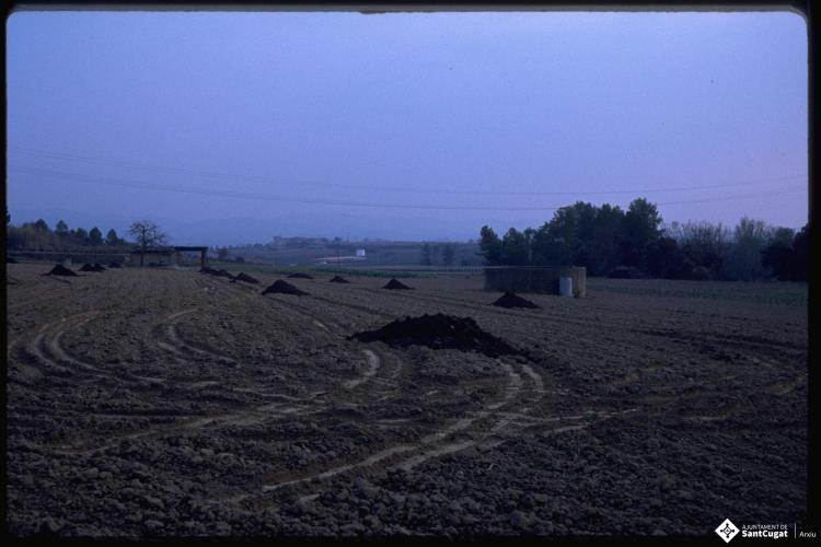 Camps de conreu. 