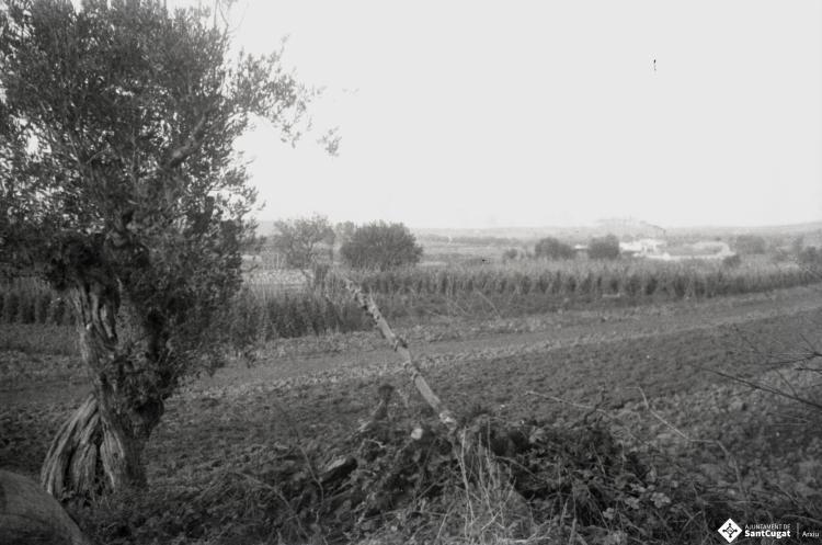 Masia Torreblanca, vistes de l'edifici i dels camps de conreu.