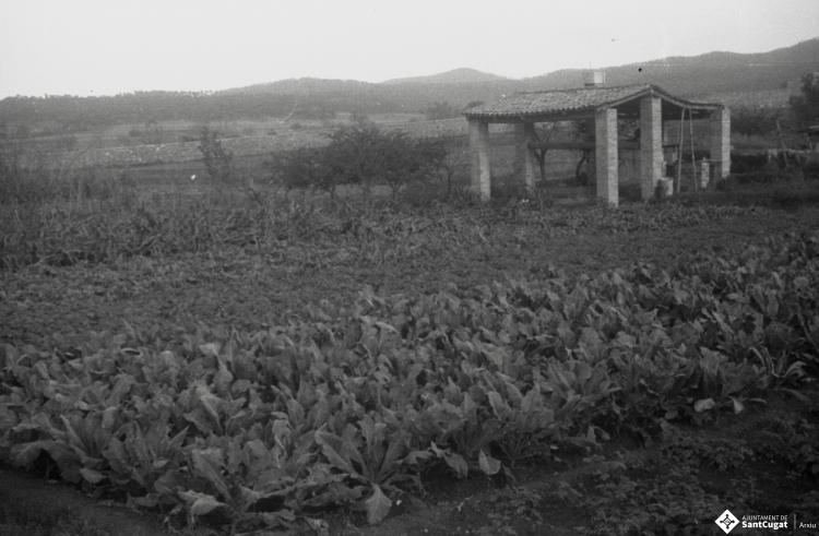 Masia Torreblanca, vistes de l'edifici i dels camps de conreu.