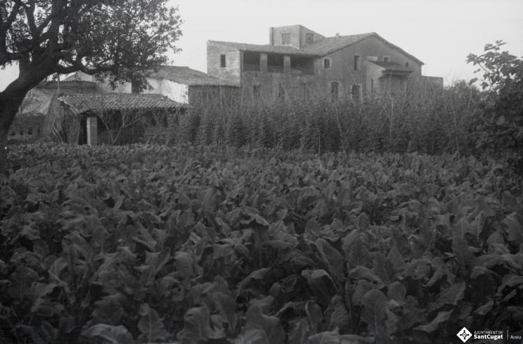 Masia Torreblanca, vistes de l'edifici i dels camps de conreu.