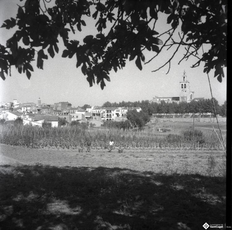 Vista panoràmica d'uns horts a la zona de Can Mora amb el monestir al fons.