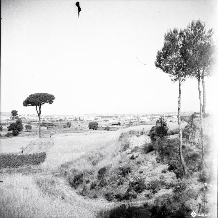 Vista del Pi d'en Xandri i voltants.
