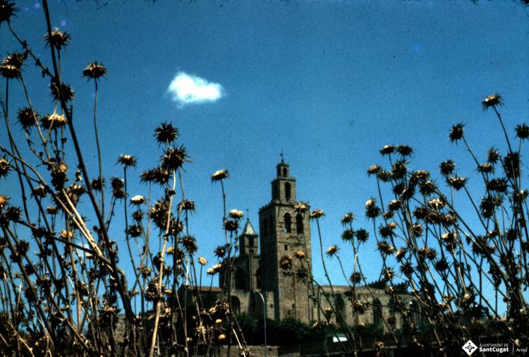 El Monestir de Sant Cugat vist des d'un camp de cards.