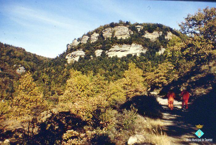 06 Camí del Gorgàs en direcció a la cova del Serrat del Vent