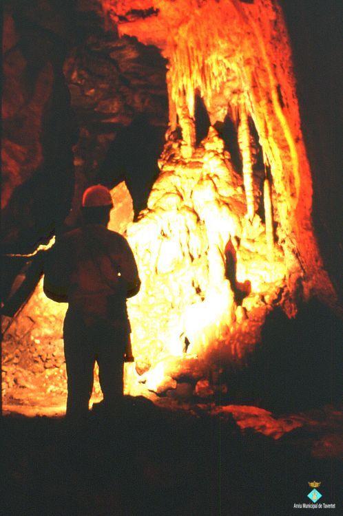 44 Cova del Serrat del Vent