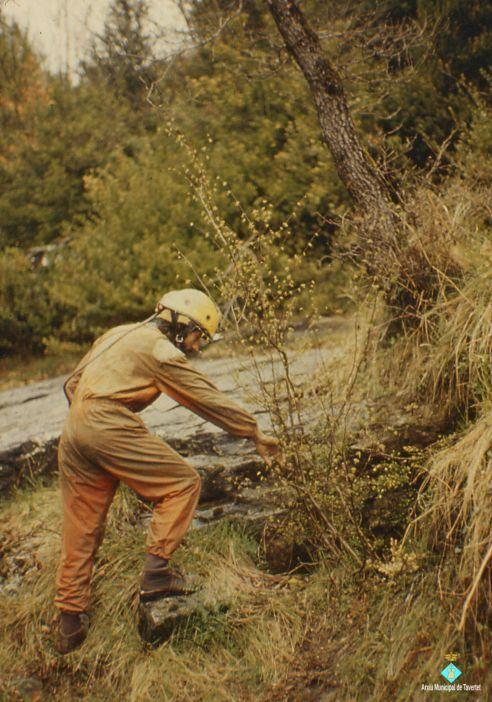 91 Cova del Serrat del Vent