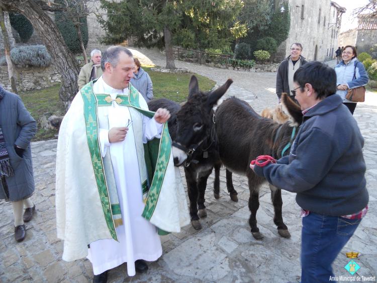 El rector amb dos burros