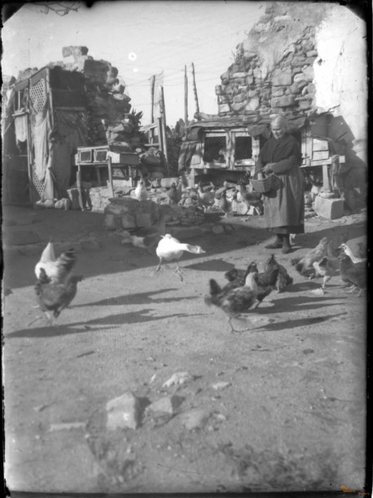 Pati amb gallines i senyora