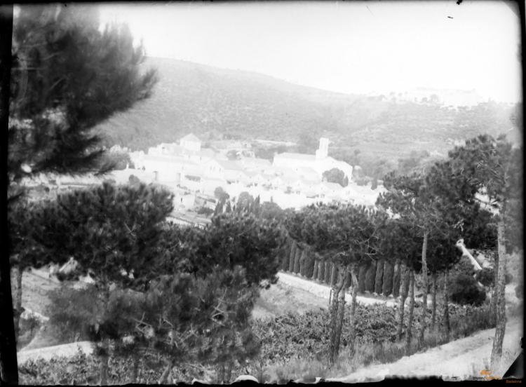 Cartoixa de Montalegre