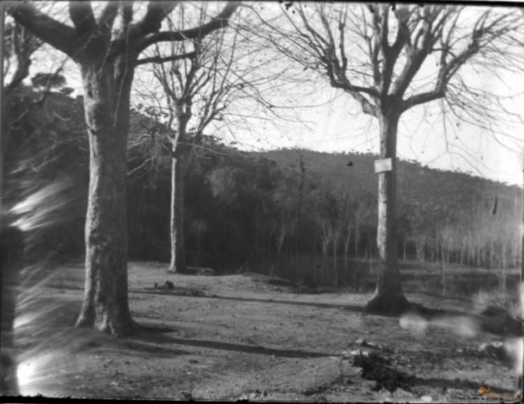 Paisatge rural