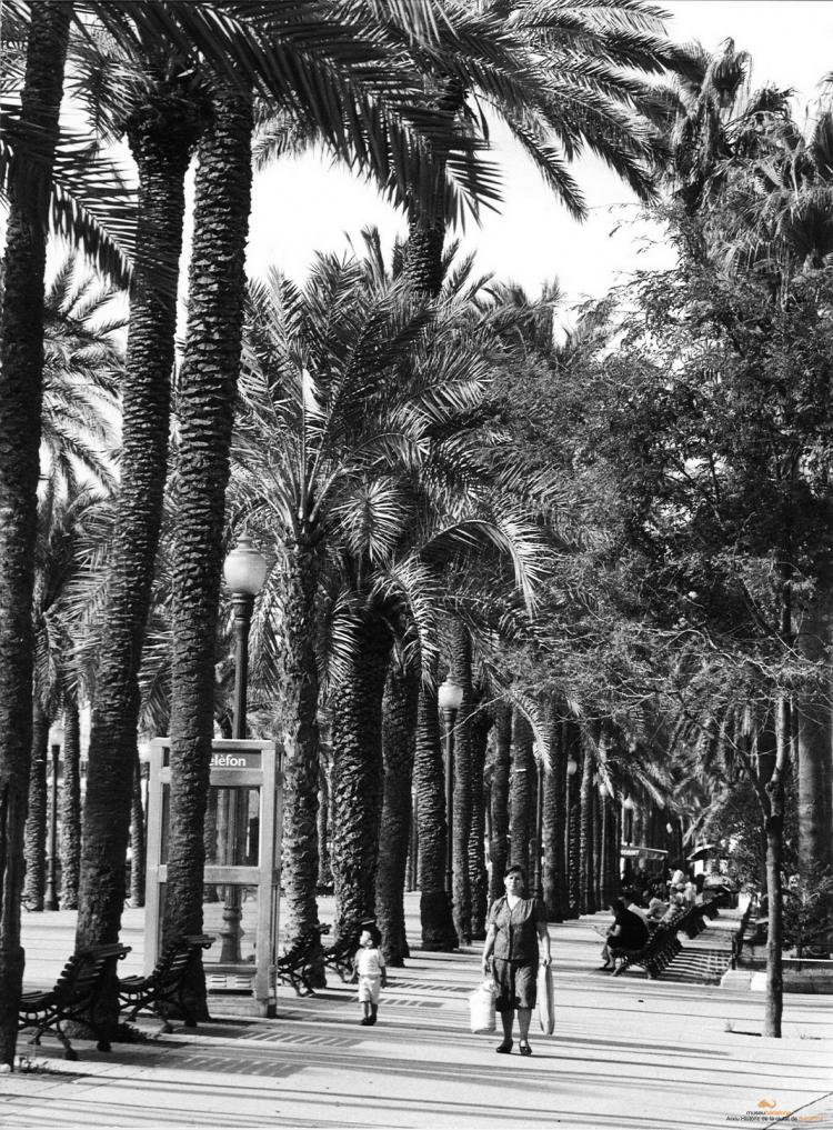 La Rambla