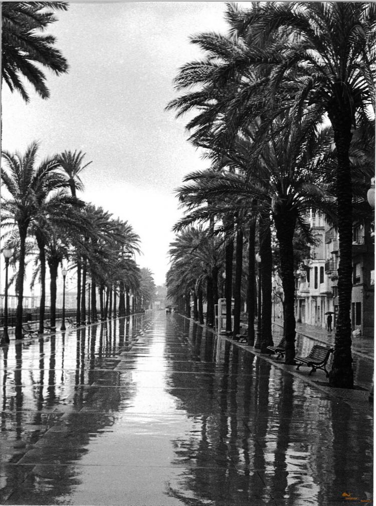 La Rambla