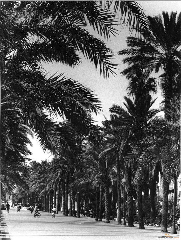 La Rambla